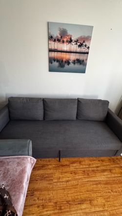 Ikea Friheten sleeper sofa bed