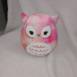 Owl Squishmallow 