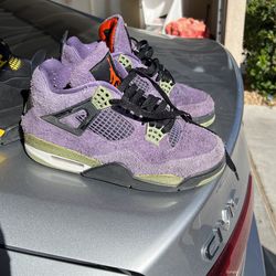 Jordan Canyon Purple
