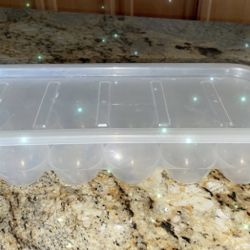 Plastic egg container