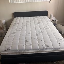 Queen Mattress/Ikea Frame
