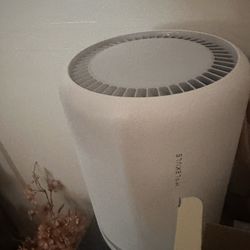 Molekule Air Purifier 