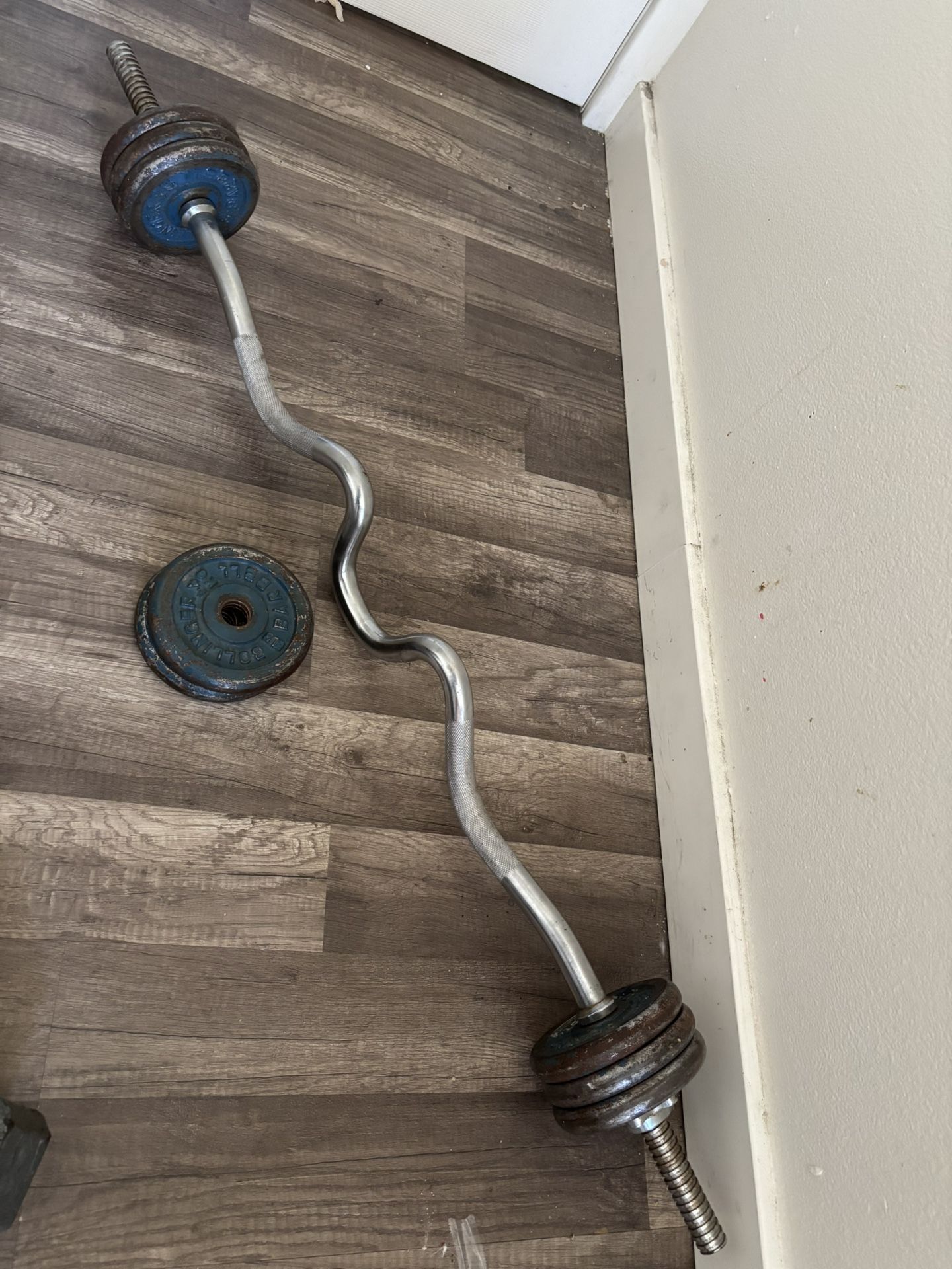 Curl Bar Weights