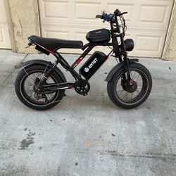 Dual Motor E Bike
