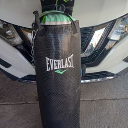 Only Used Twice- Punching Bag And Boxing Gloves