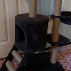 Cat Tree