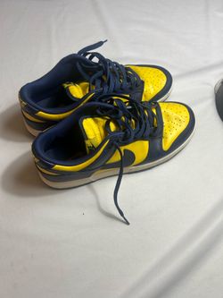 Nike dunk “Michigan” size 10 men