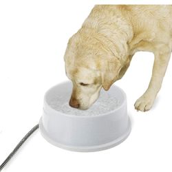 Heated Pet Bowl
