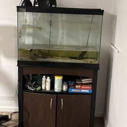 40 gal tank, lights, filter, stand
