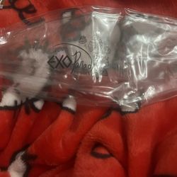 Fanmade Inflatable EXO Beach Ball