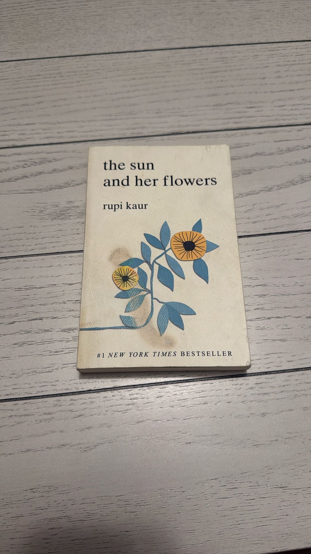 The Sun And Her Flowers