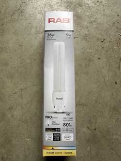 RAB Light Bulb Ballast 12 Packs