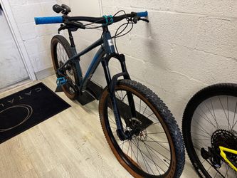 Santa Cruz Chamaleon 29 size Large