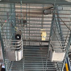 Bird Cage