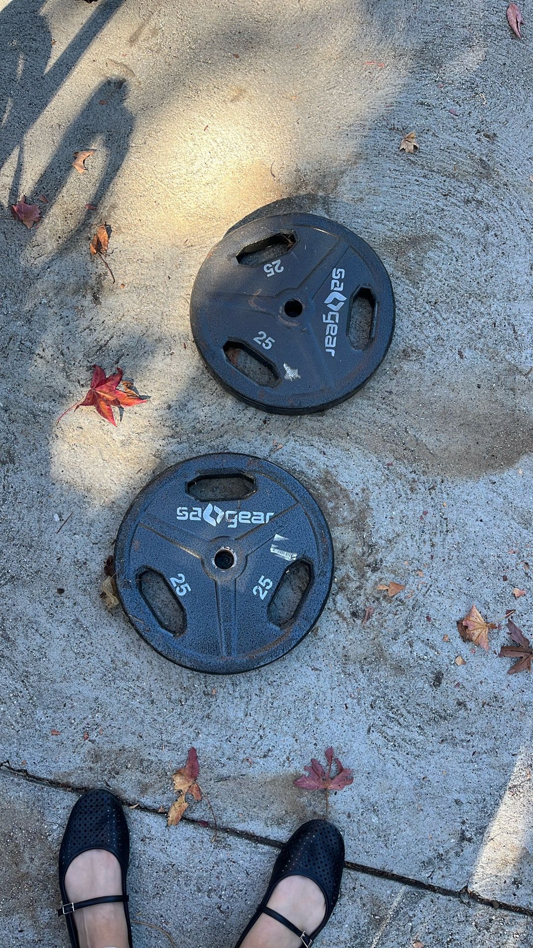 Two 25 Pound Weights!