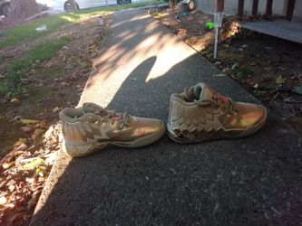 These are LAMELO BALL BASKETBALL shoes they color is gold they are a size 5 lowest price is 75$ or 80$