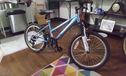 Mountain bike