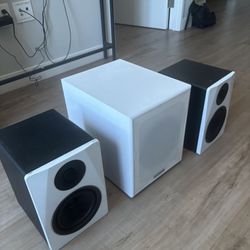 8inch Monitor And subwoofer 