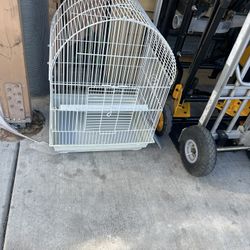 Bird  Cage 