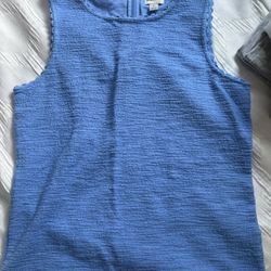 Blue Vest 