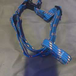 Dog Harness