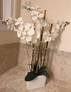 Orchid plant home decor