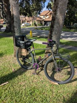 X-bike Steel State