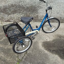 Raleigh 3 Speed 3 Wheeler