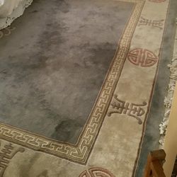 Hand Knotted Oriental Rug