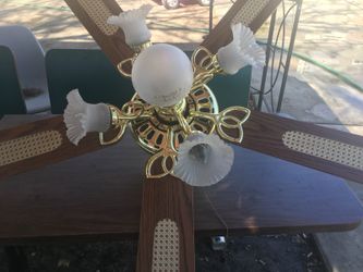 Ceiling fan