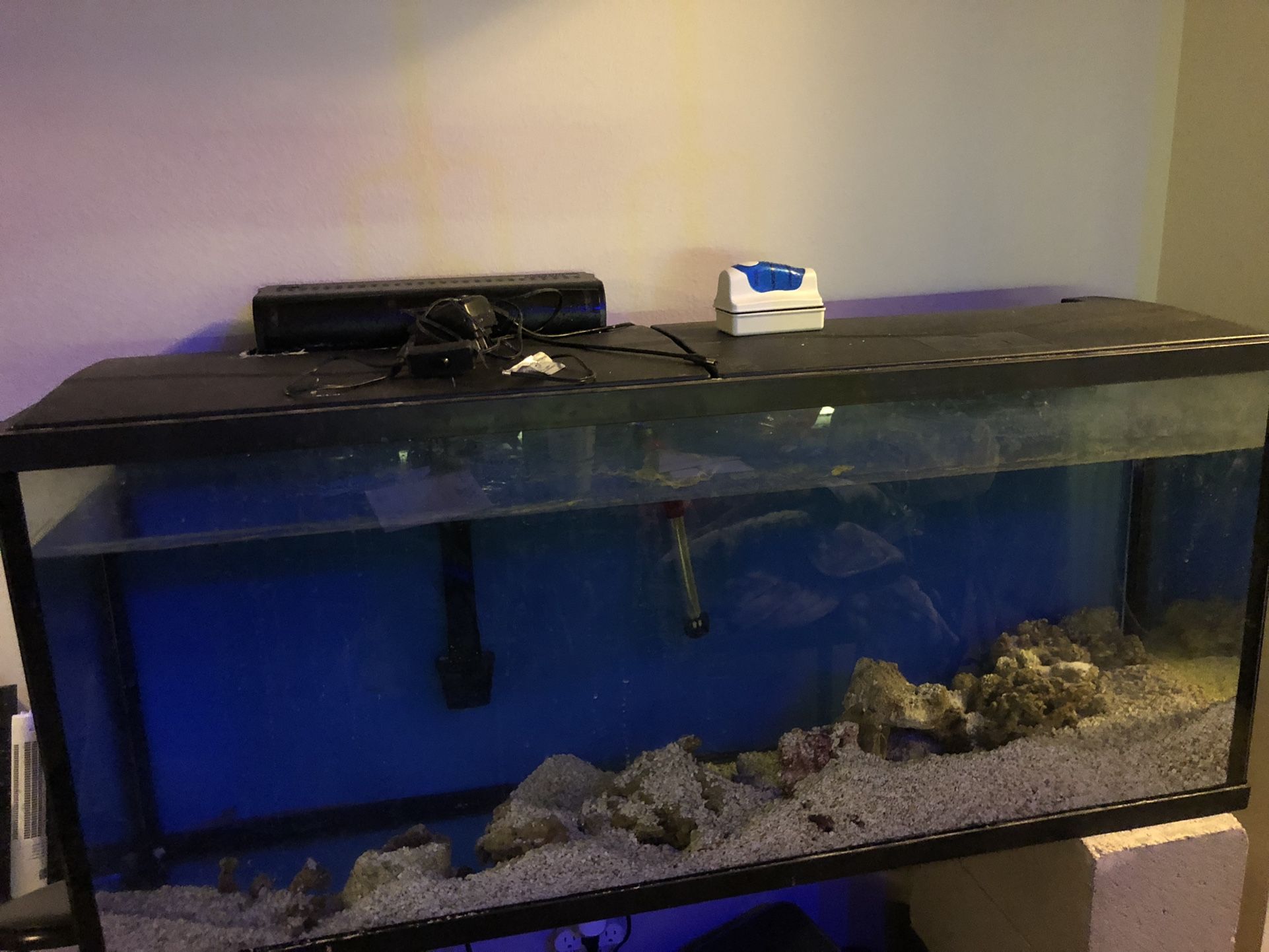 55 Gallon Salt Water Tank