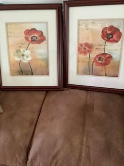 2 Poppy Pictures 