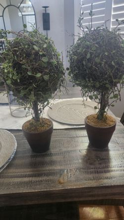 Two artificial Plant $8 both