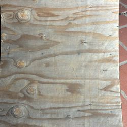 Skateboard/bike ramp