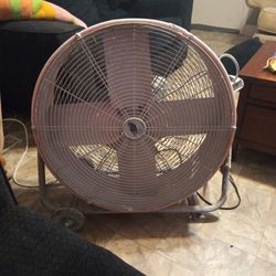 Commercial Electric Fan