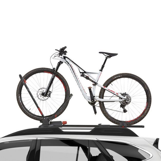 Yakima Upright Bike Rack