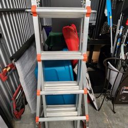 Little Giant Ladder 