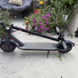 Foldable Electric scooter