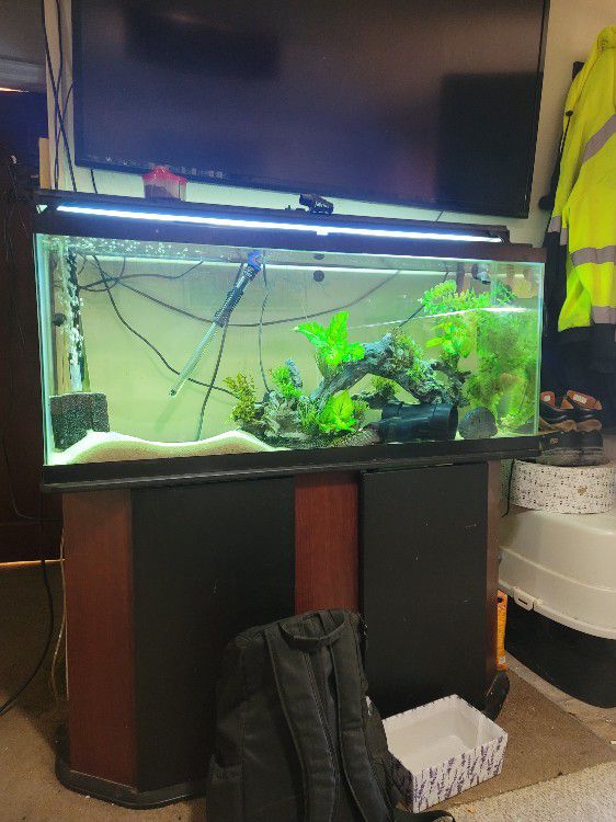 55 Gallon Tank And Stand 