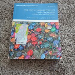 The Social Work Experience 7th Edition Book