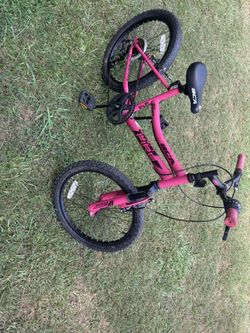 20 Inch Girls Bicycle 