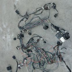 WANTED: Engine Wiring Harness 