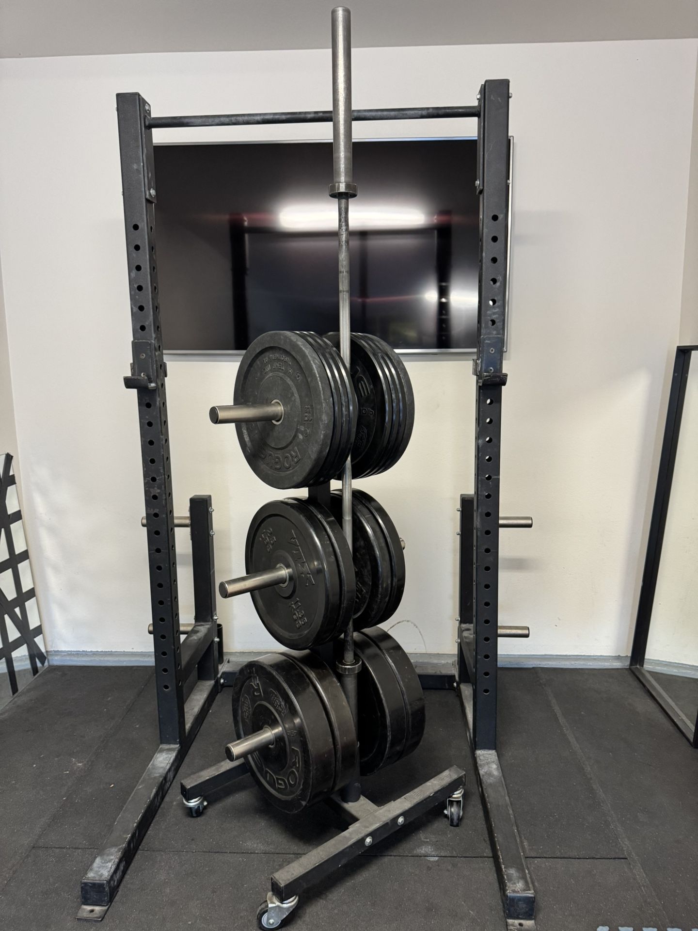 E.T.E Deluxe Squat Rack And Bumper Plate Tree Combo