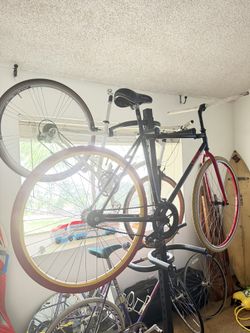 Fixie Or Freewheel