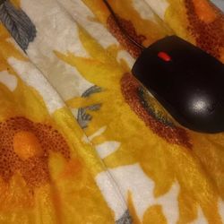 Mouse With Long Cable 