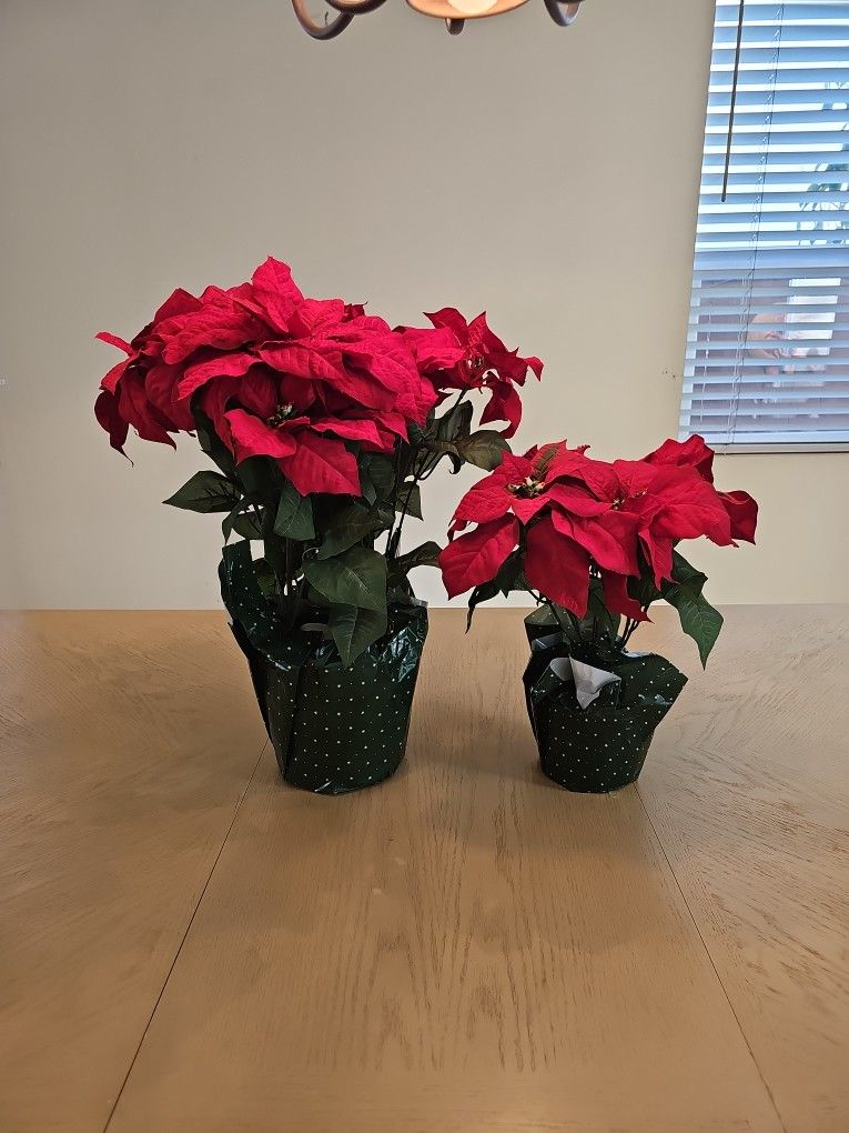 About 45 Artificial Poinsettias