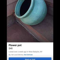 Flower Pot