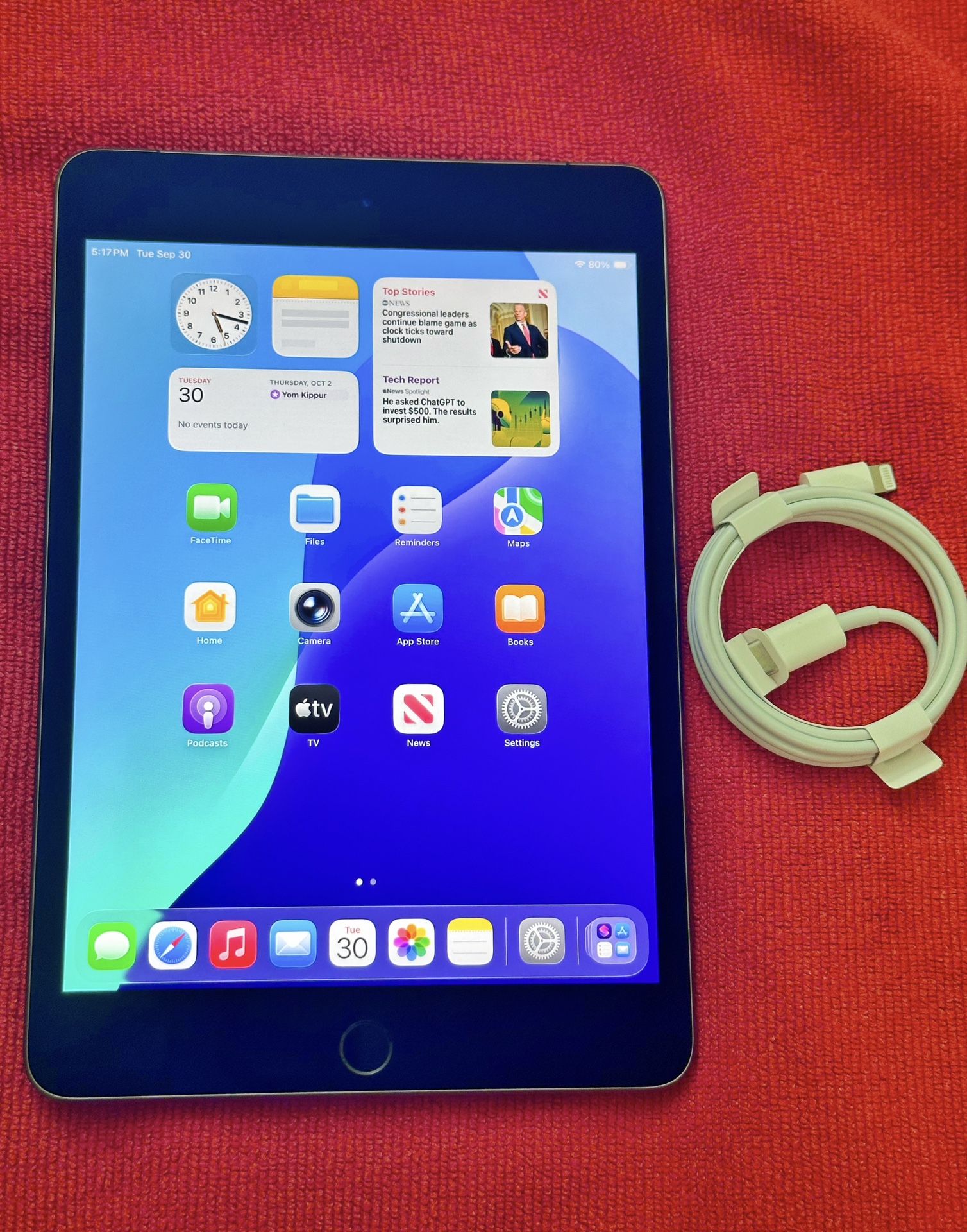 IPad Mini 5th ( Wifi + Cellular Sim Unlocked ) Latest IOS 26+