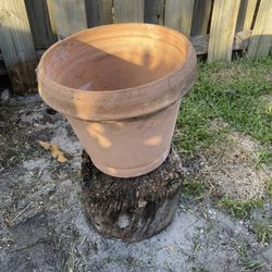 Flower Pot 