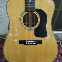 Washburn D13N Acoustic Guitar + hardshell case